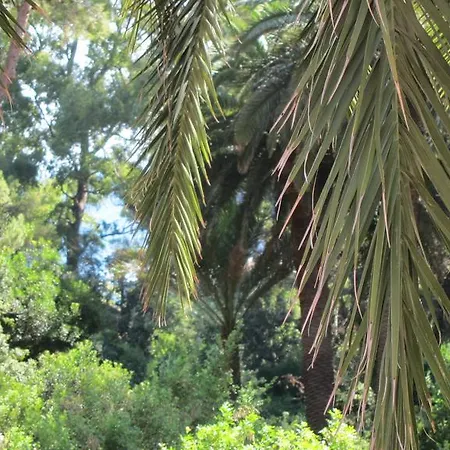 Capo Pero Panzió 3*