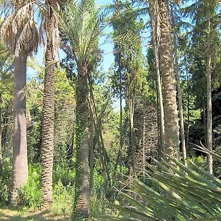 Oda ve Kahvaltı Capo Pero Rio Marina