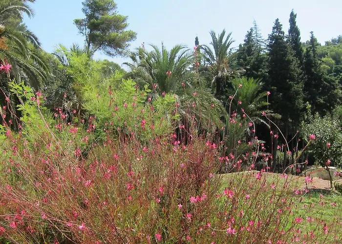 Capo Pero ベッド・アンド・ブレックファスト